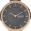 Skagen Skagen Women'S Gitte Two Hand Stainless Steel Watch Wholesale